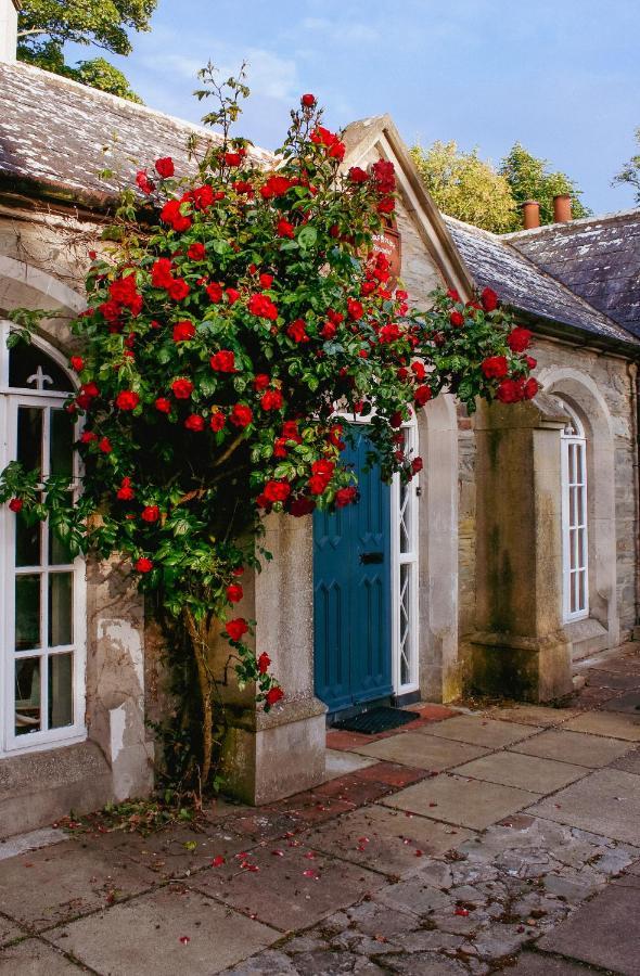 Willa The Alms House Strangford Zewnętrze zdjęcie